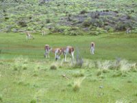 09_Torres_del_Paine_NP